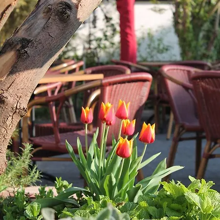 Hotell Koelner Hof Refrath